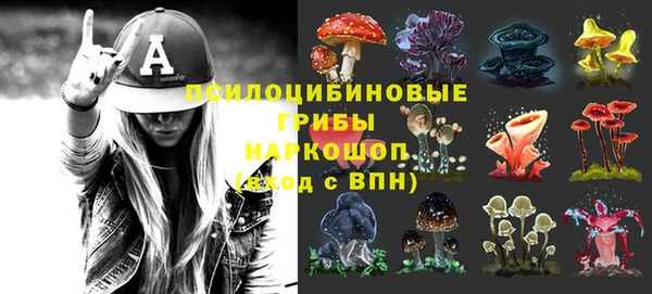 бошки Пестово