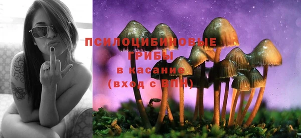 бошки Пестово