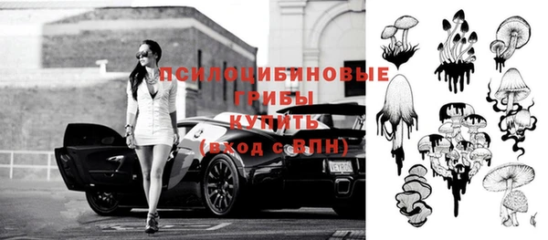 бошки Пестово