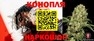 сатива Абинск