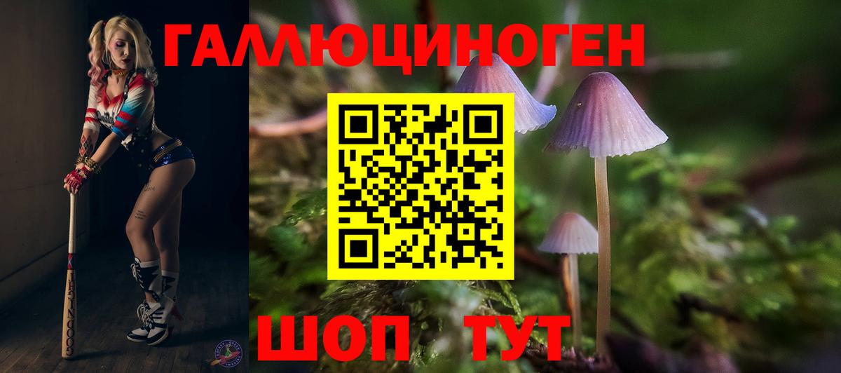 Галлюциногенные грибы ЛСД Кушва