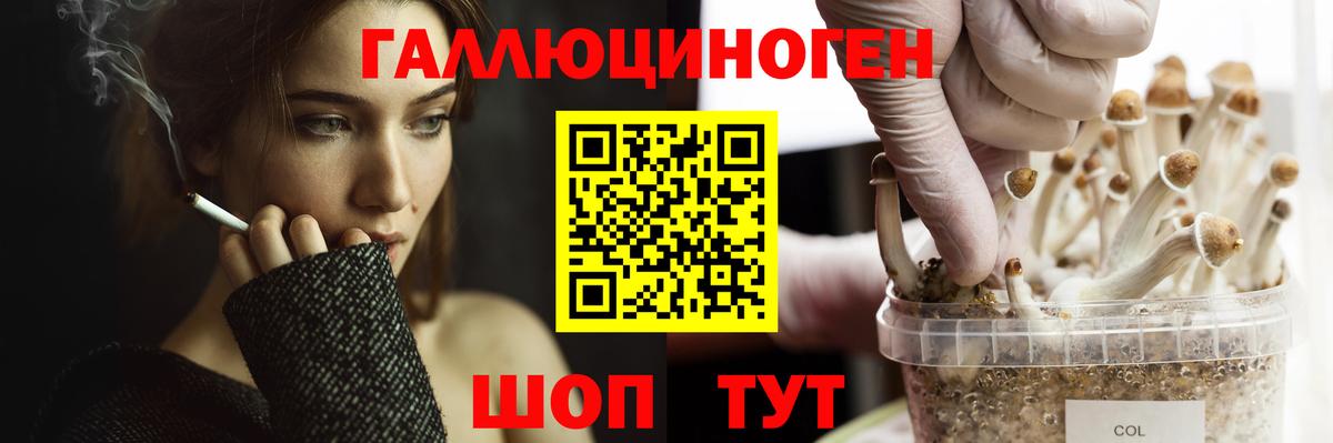 Кушва  Галлюциногенные грибы ЛСД  Вход с VPN  Псилоцибиновые грибы мицелий 