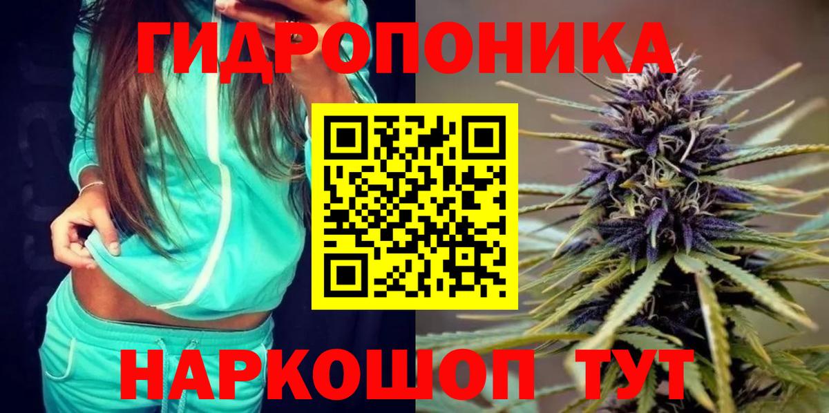 Конопля AK-47  Кушва  Бошки марихуана марихуана 